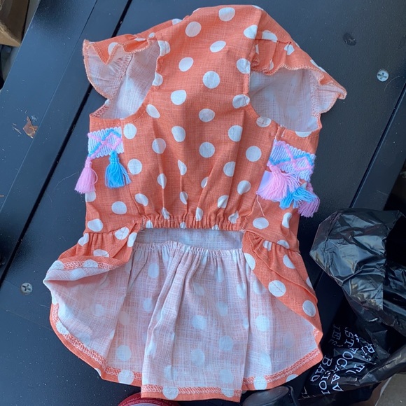 Small dog - Picture 2 of 2